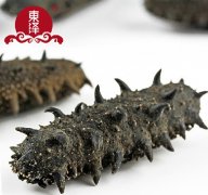 东泽淡干海参,营养健康的滋补盛宴