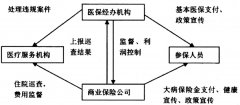 大病保险运行机制研究:基于国内外的经验(1)