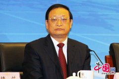 王国强:从五种资源出发实现重点突破