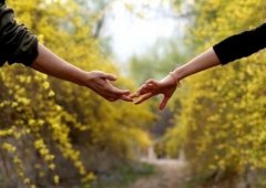 给爱情中得意或失意的你一个栖息的地方(图组)