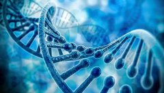 人类基因编辑研究报告全球发布 提出科学、伦理与监管基本原则