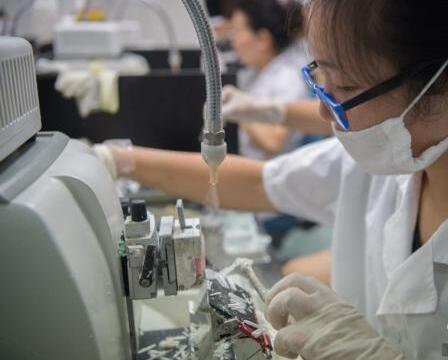 中国癌症医药"缺芯"之痛:细胞模型依赖进口