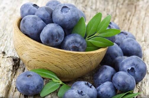 吃蓝莓，有助于降血压和软化血管