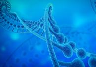 Cancer Res:发现黑色素瘤新靶点和新药物