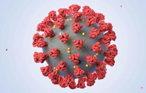 多款新冠疫苗临床数据出炉 T细胞免疫反应为何成为关注热点