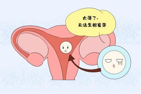 子宫内膜出现问题,受孕难如何解决?也许你可以试一试PRP