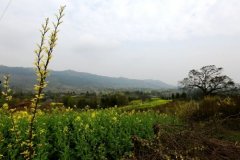 新华网：忠县医药产业园今年计划完成投资2亿元